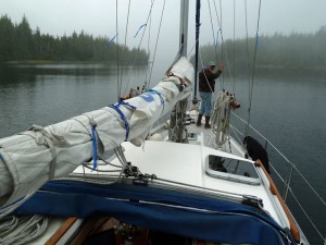 foggy-bay-morning